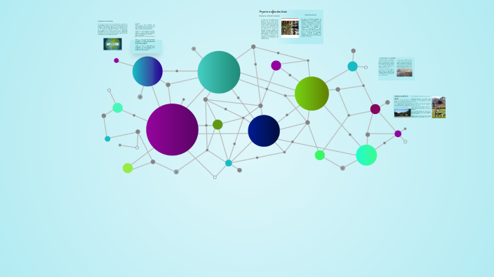 Mapas Conceptuales by Pablo Daniel on Prezi