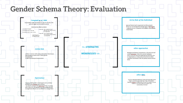 weakness of gender schema theory