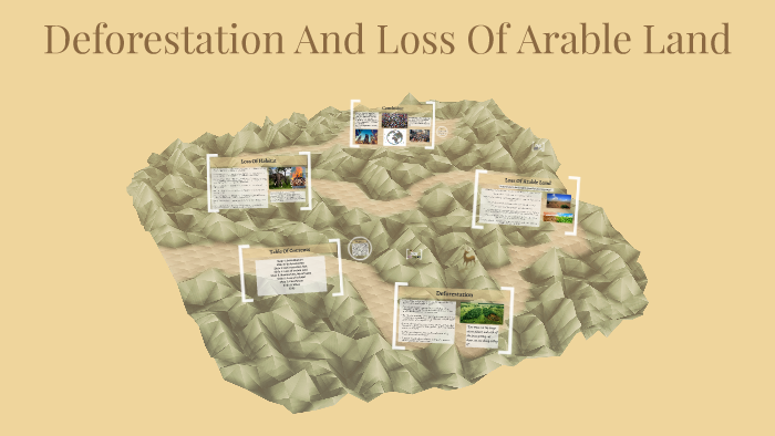 Deforestation And Loss Of Arable Land By RAINY SOM