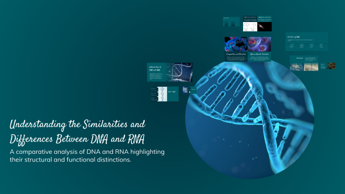Understanding the Similarities and Differences Between DNA and RNA by ...