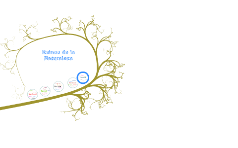 Reinos de la Naturaleza by Stefania Cardozo on Prezi
