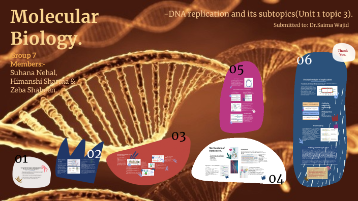 DNA replication (group 7) by Suhana Nehal on Prezi