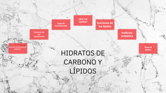 HIDRATOS DE CARBONO Y LÍPIDOS by ramiro duaret on Prezi