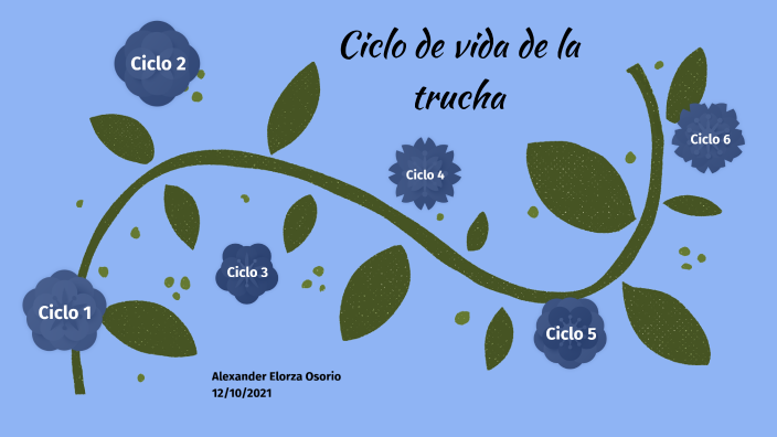 Ciclo Biologico De La Trucha Arcoiris prezi.com