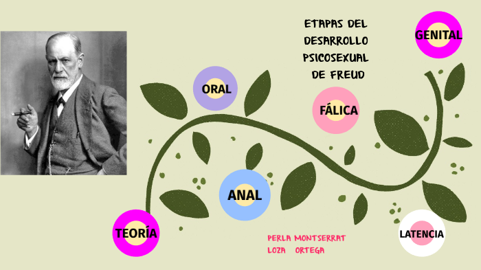 sigmund freud teoria del desarrollo psicosexual