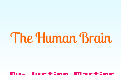 AP Psychology Brain Project by Justine Martins on Prezi