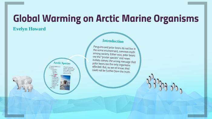 Global Warming on Marine Arctic Ecosystems by Evelyn Howard on Prezi