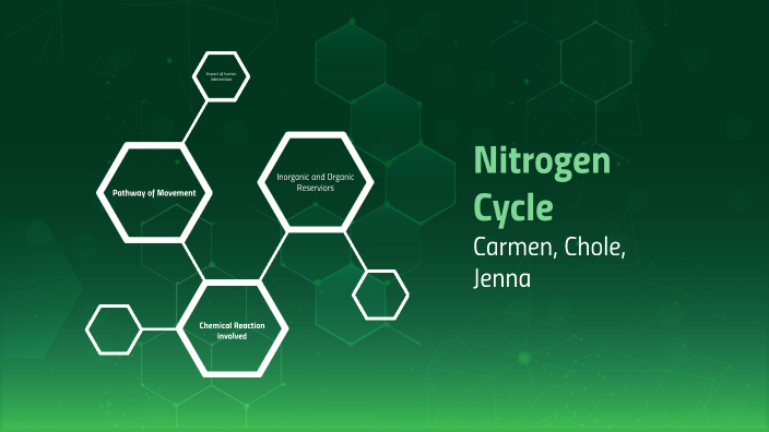 Nitrogen Cycle by Carmen Friel on Prezi