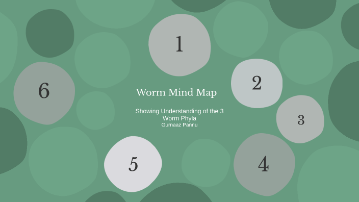 Random Map With Worm Worm Mind Map by Gurnaaz Pannu on Prezi