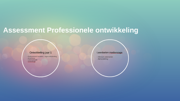 Assessment Professionele ontwikkelingen by leonie moedikdo