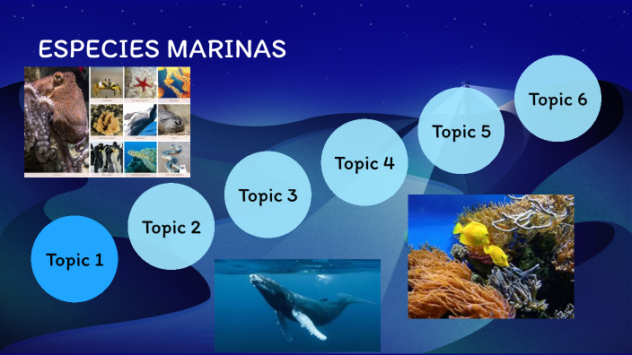 ESPECIES MARINAS by michael mora on Prezi