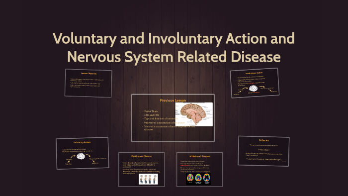Voluntary and Involuntary Action and Nervous System ...