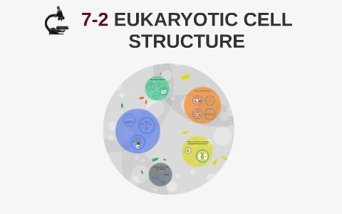 7-2 EUKARYOTIC CELL STRUCTURE by STEFANY SIERRA on Prezi