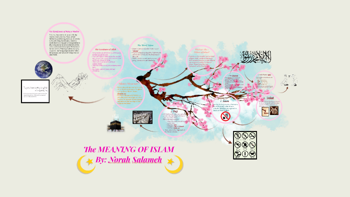 the-meaning-of-islam-by-norah-salameh