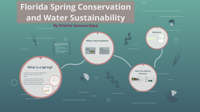 Spring Conservation Florida Spring Conservation and Water Sustainability by Kristina ...