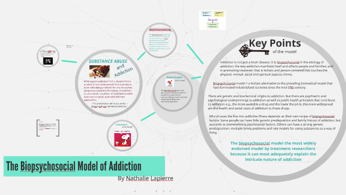 the-biopsychosocial-model-of-addiction-by-nathalie-lapierre