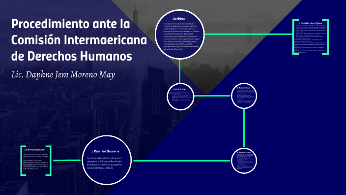 Procedimiento ante la Comisión Interamericana de Derechos Humanos by ...
