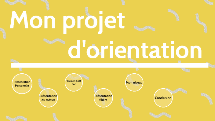 Oral d'orientation by Léo Vincent on Prezi