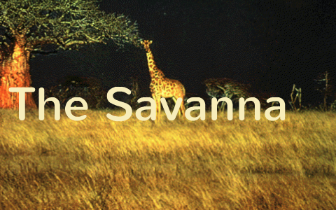 Threats to The Savanna Biome by Joey Butler