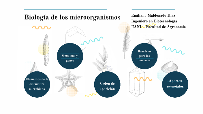 Capítulo 1: Biología de los microorganismos by EMILIANO MALDONADO DIAZ ...