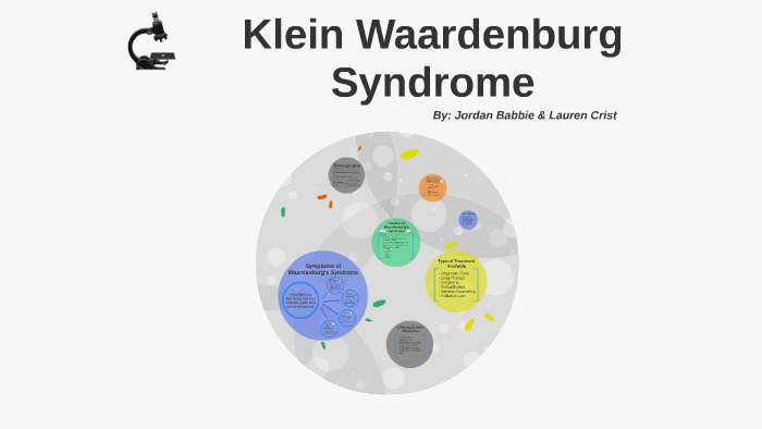 Klein Waardenburg Syndrome By Lauren Crist On Prezi