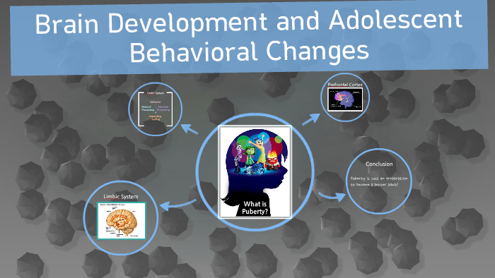 Brain Development and Adolescent Behavioral Changes by Joo Won Lee on Prezi