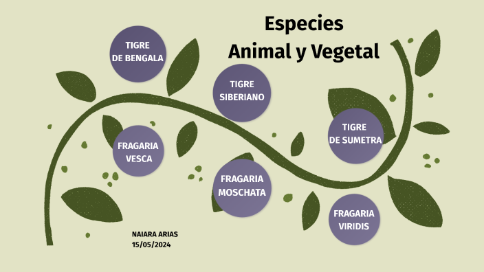 A Qualunque Animale Alberga In Terra ESPECIES ANIMAL Y VEGETAL by naiara arias on Prezi