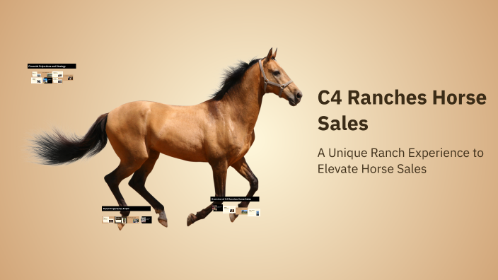 C4 Ranches Horse Sales by Jace Hill on Prezi