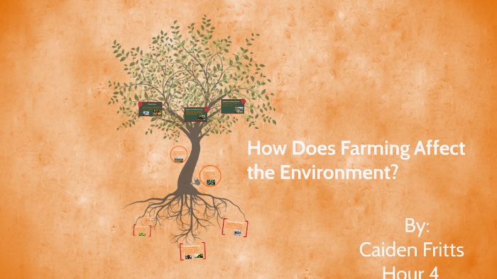 how-does-farming-affect-the-environment-by-caiden-fritts