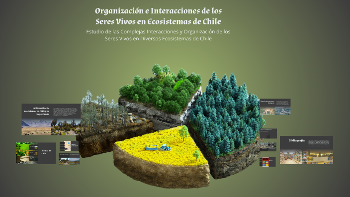 Organización e Interacciones de los Seres Vivos en Ecosistemas de Chile ...