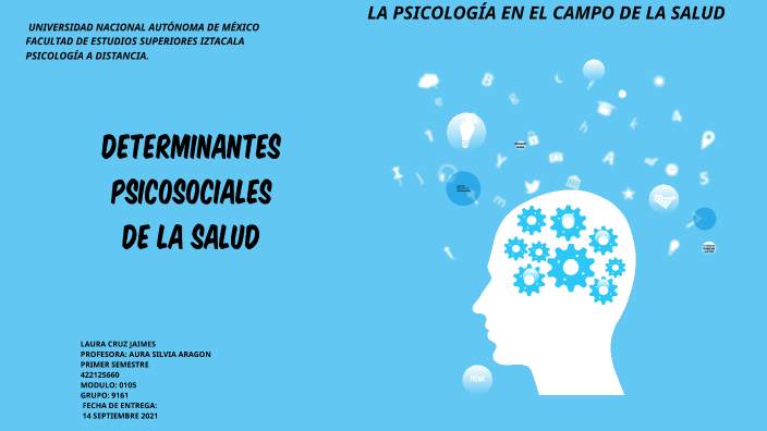 laura105_Organizador Gráfico: Determinantes psicosociales en salud by ...