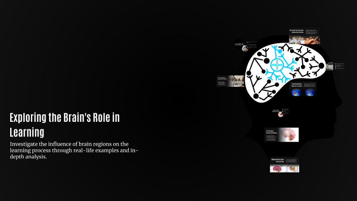 Exploring the Brain's Role in Learning by kaishla gonzalez on Prezi