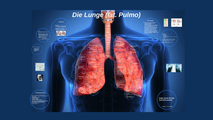Die Lunge (lat. Pulmo) by Nathalie B