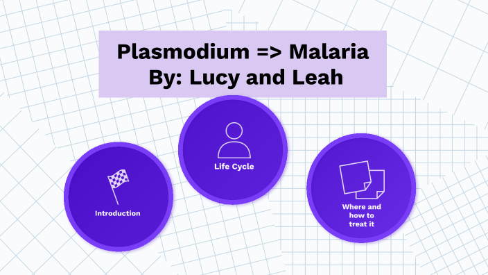 Malaria by Leah Dawit on Prezi