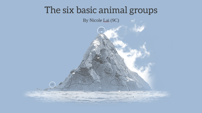 The 6 basic animal groups by Nicole Lai