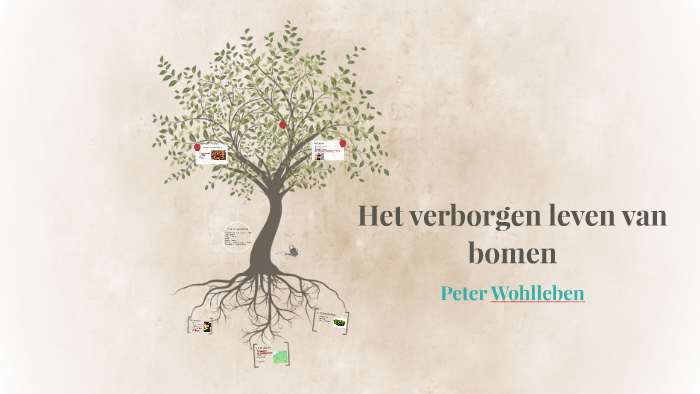 Het verborgen leven van bomen by kaat fierens