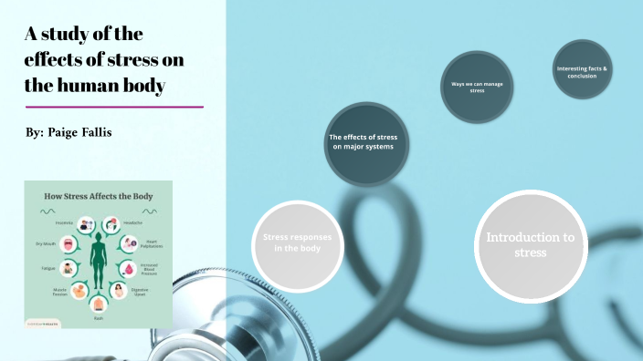 A study of the effects of stress on the human body by Paige Fallis on Prezi