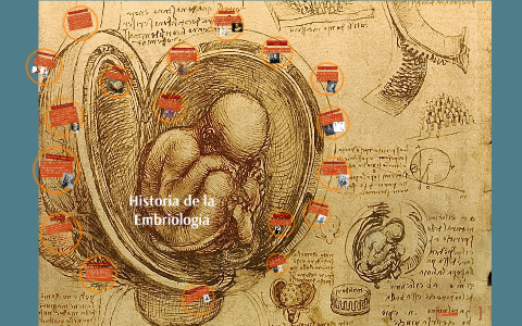 Historia de la Embriologia by Paulina Estrada on Prezi Next