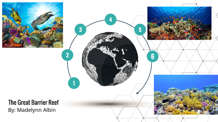 The Great Barrier Reef by madelynn Albin on Prezi