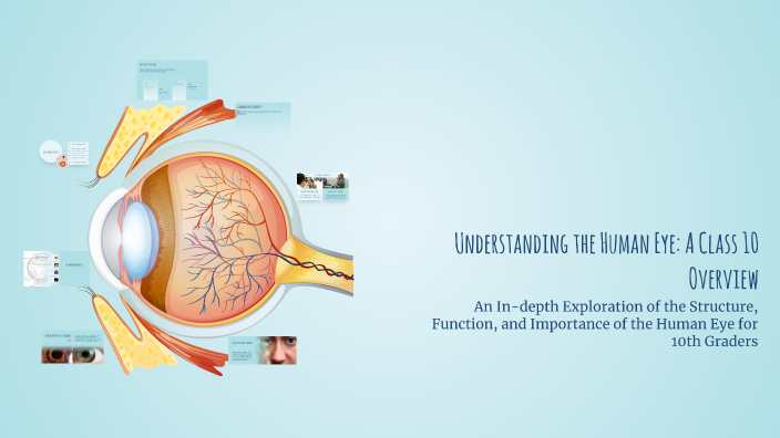 Understanding the Human Eye: A Class 10 Overview by Cindrella EIN on Prezi