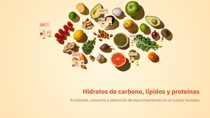Hidratos de carbono, lípidos y proteínas by Thomas Almiron on Prezi