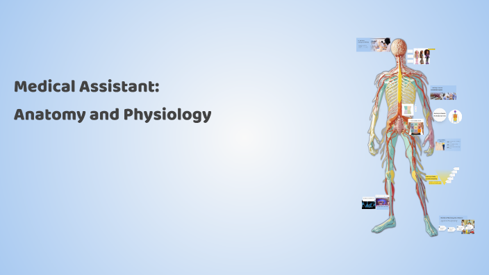 Engaging Activities and Games for Medical Assistant Class: Anatomy and Physiology by Rachel ...