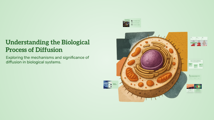 Understanding the Biological Process of Diffusion by Sofie Frisch on Prezi