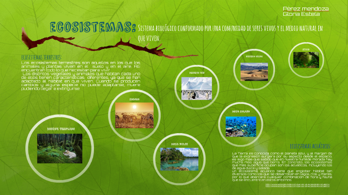 ECOSISTEMAS by Gloria Estela Perez Mendoza on Prezi