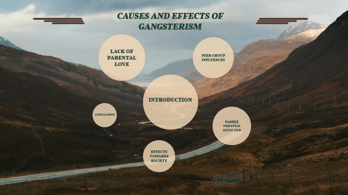 causes effects of gangsterism