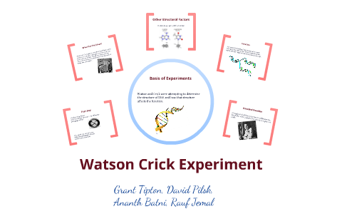 watson and crick experiment summary