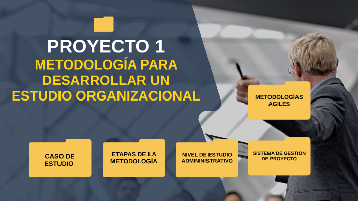 METODOLOGIAS PARA EL DESARROLLO DE ESTUDIOS ORGANIZACIONALES by Arnulfo ...