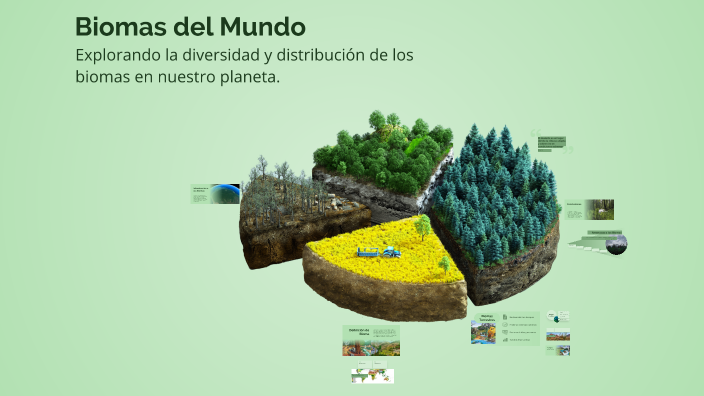 Biomas del Mundo by lionel mamani chipana on Prezi
