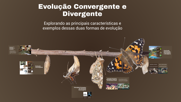 Evolução Convergente e Divergente by gabriel lucas alves on Prezi