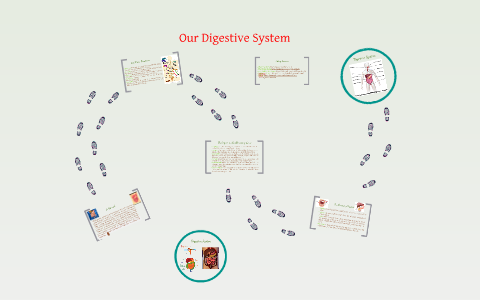 Our Digestive System by Andrea Alvarado on Prezi